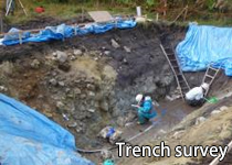 Trench survey