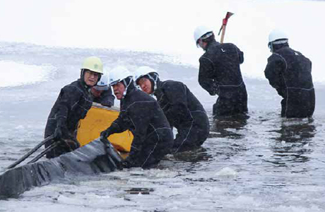 Training in drawing water from wetlands during midwinter